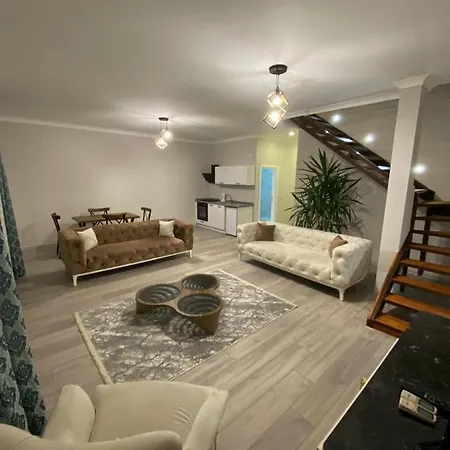Sky Hisar Villa *