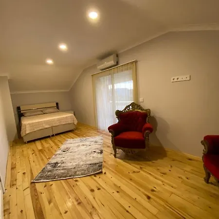 Villa Sky Hisar