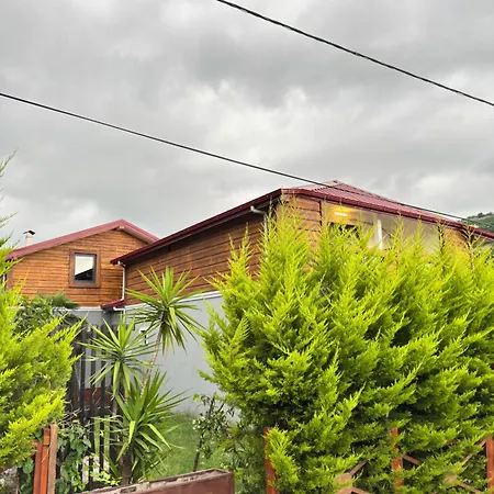 Villa Sky Hisar *